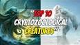 The Fascinating World of Cryptozoology: Exploring Mysterious Creatures ile ilgili video