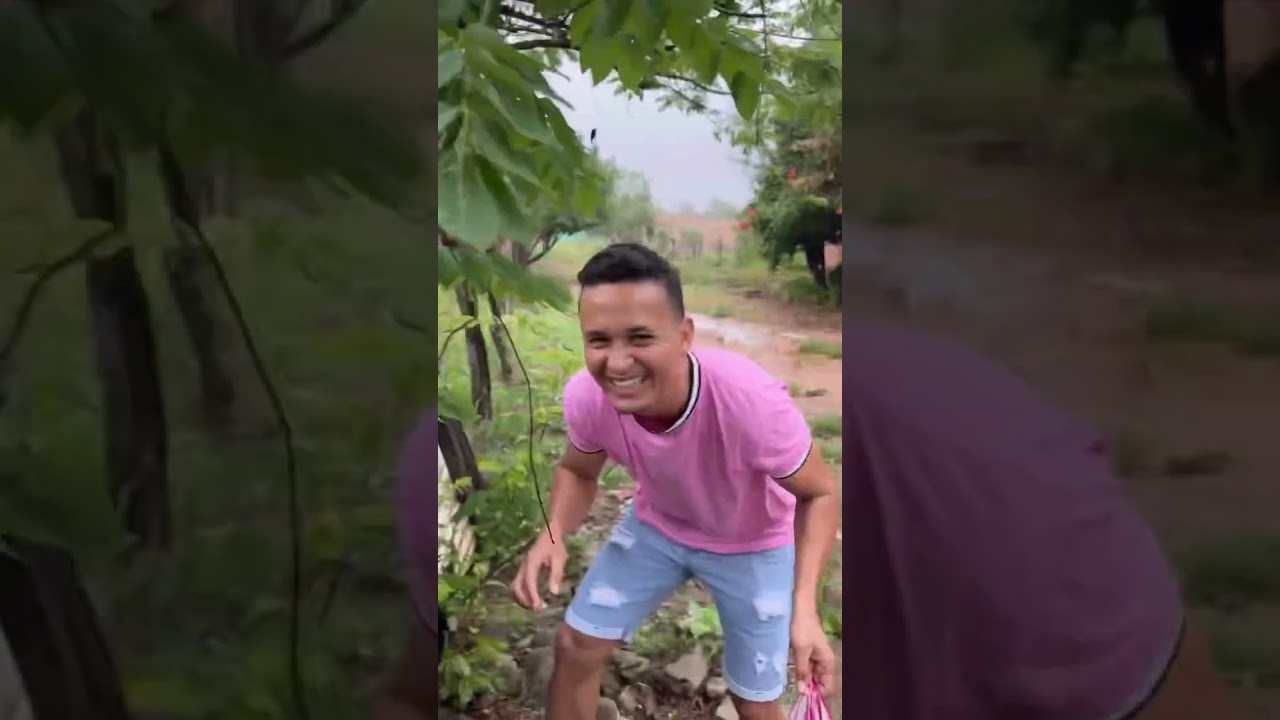 Beto La gallina volvió a su forma original