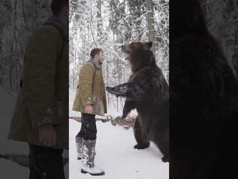Не показывайте это видео иностранцам😂 Медведь Том и Трухачев Сергей