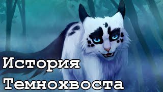 История Темнохвоста/Коты-воители