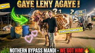 NOTHERN BYPASS MANDI GAYE 🥰 | MISSION COW START 🐄 | AYAAN HAIDER