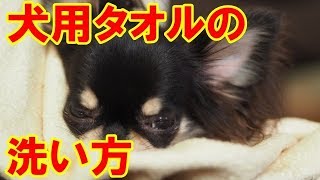 ペット用タオルの簡単な洗い方