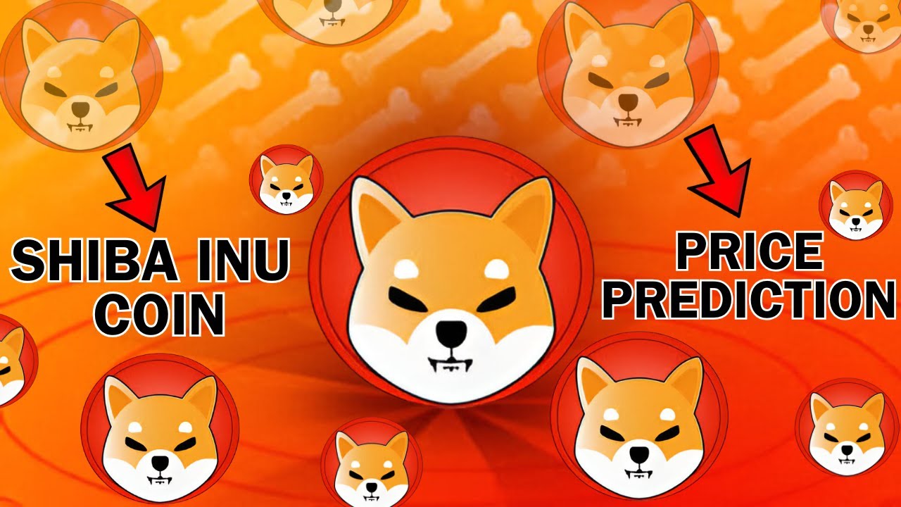 Shibainu Coin Big Update 😍 Shib Coin New Update Today  Shibainu Crypto News