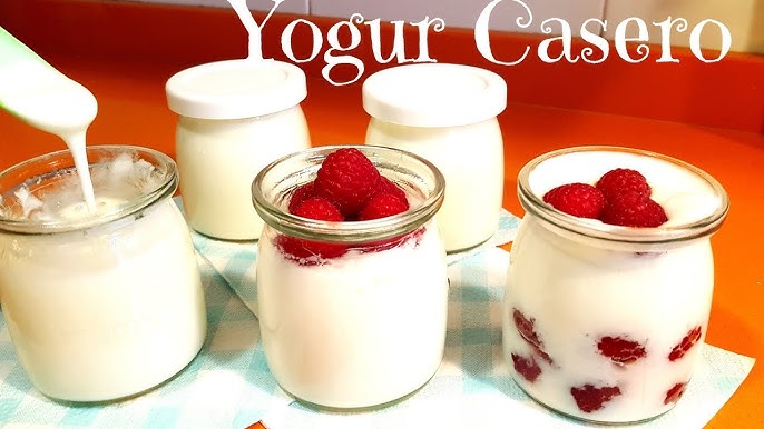 Al delicioso yogur casero!: yogurteras rebajadas para elaborar este postre  saludable y, de paso, ahorrar en la cesta de la compra