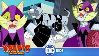 Krypto The Superdog | Mechanikat | @dckids ​