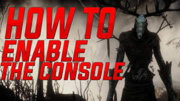 How to enable the Console in the Witcher 3! | WITHOUT MODS