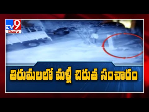 తిరుమలలో చిరుత కలకలం. ..భయందోళనలో జనం - TV9