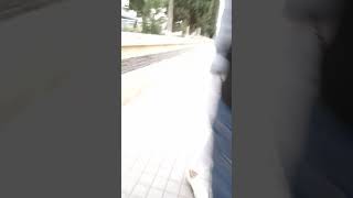 Zeynalzade C A V I D A N