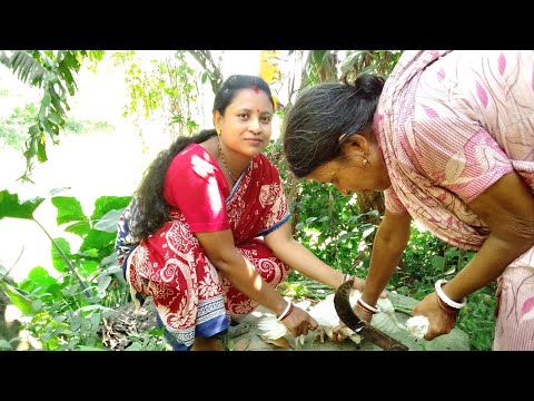 Lady  Slaughter chicken / Most fastest Chicken cutting skills /