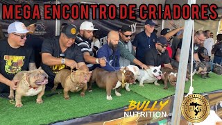 MEGA ENCONTRO DE CRIADORES EM ITU (SP) (EXÓTIC E AMERICAN BULLY)