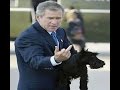 Funny george w moments and quotes  best batch of bush bloopers