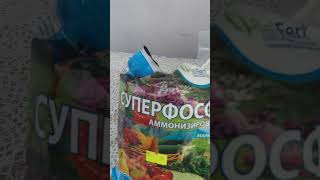 :     .