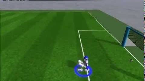 UT Austin Villa RoboCup 3D Simulation Fast Run with Optimized Body Type