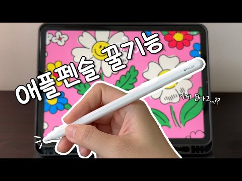 이런 기능도 있었어...?? 애플펜슬 꿀팁 총집합ㅣ본격 아이패드 제대로 뽕뽑기🍯
