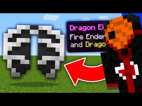 Minecraft მაგრამ Custom Elytra მაქვს