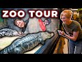 Snake discovery zoo tour  i snuck into snakediscovery to show you everything behind the scenes
