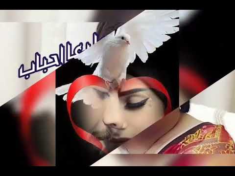 طبعا احباب ورده