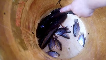 Đi thăm 12 cửa ngục dính rùa khủng