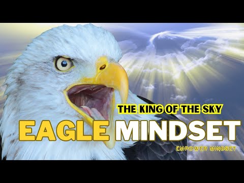 The Power Of