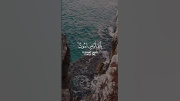 { وَمَا تَدْرِي نَفْسٌ مَّاذَا تَكْسِبُ غَدًا ۖ } [لقمان : 34]القارئ إسلام صبحي