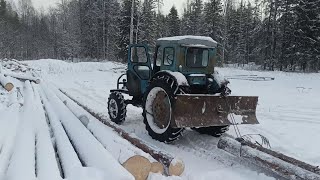 Валка,трелевка леса.Т 40 в работе.