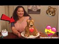 How To Make a Cute Teddy Bear Cake