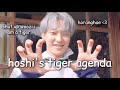 hoshi's endless tiger agenda