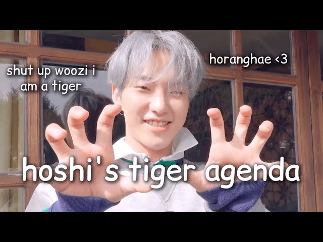 hoshi's endless tiger agenda class=