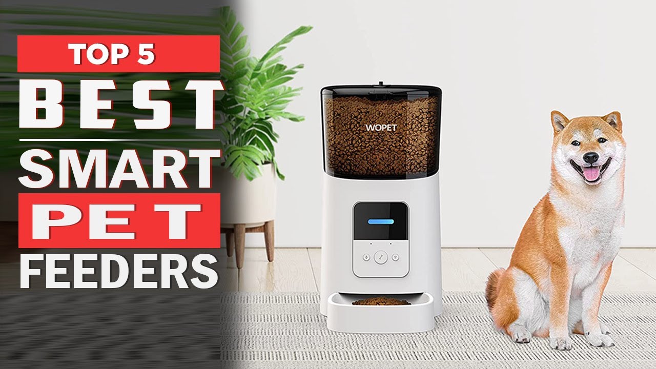 5 Best Smart Pet Feeders 2023 Best Automatic pet Feeders YouTube