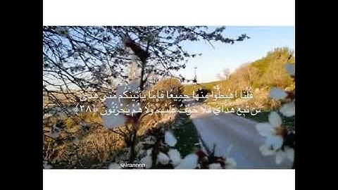 سورة البقره ٣٨-٤١ |Surat Albaqarah 38-41