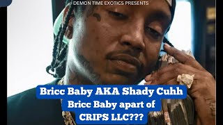 Bricc Baby apart of the CR*PS LLC?? Luce Cannon reacts to Bricc saying he is a OFFICER at CRIPS LLC!