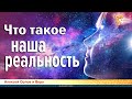 Что такое наша реальность