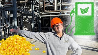 Why US Farmers Grow So Much Corn