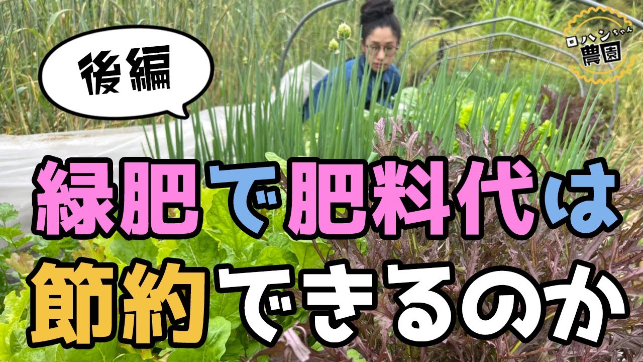 Can green manure plants be used as fertilizer? Part 2] A savior in