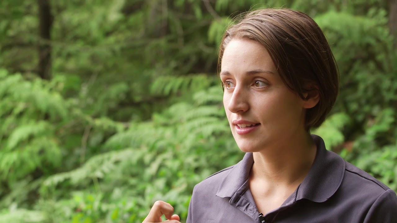 Student Ranger Program accepting applications for 2019 season - YouTube