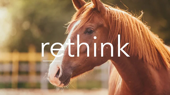 Rethink your horse's digestive health with Relyne GI!