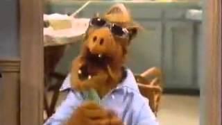 Funny Alf !