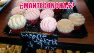 Blog Desmitificando Las Manteconchas