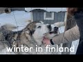 Winter in findland  winter bathing sauna husky ride  alvar aalto