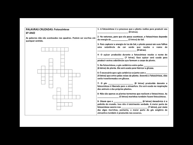 FOTOSSÍNTESE - puzzle online