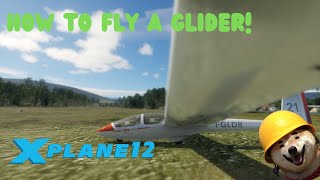 How to fly a Glider! | Tutorial  X-Plane 12