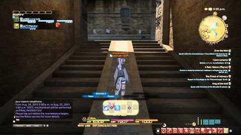 FFXIV How to Customize HUD on PS4