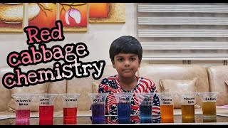 A homemade ph indicator/ How to make a ph indicator with red cabbage/Ph of household items