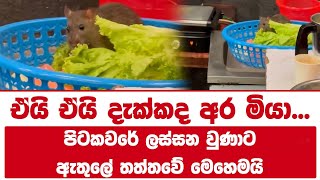 ඒයි ඒයි දැක්කද අර මියා... පිටකවරේ ලස්සන වුණාට ඇතුලේ තත්තවේ මෙහෙමයි!