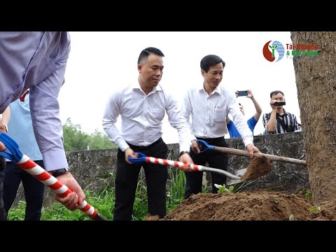 Video Hơn 1112 cây xanh được trồng trong dự án Chùa xanh - youtube