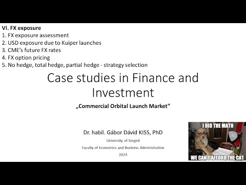 Case studies in Finance - VI. FX exposure