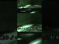 トンネル内のノイズ、怪音… #北野誠のおまえら行くな。