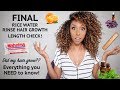 FINAL Rice Water Rinse Hair Growth Length Check! EVERYTHING you NEED to know! | BiancaReneeToday