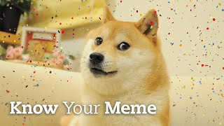 Our Favorite Doge Just Turned 16 Years Old | Know Your Meme