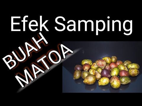 Video: Si të rriten pemë frutore Rambutan - Ku mund të rritësh Rambutans